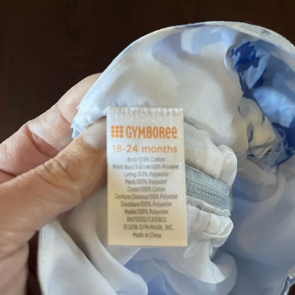 Gymboree 18-24M Blue Watercolor Floral Rosette Party Dress